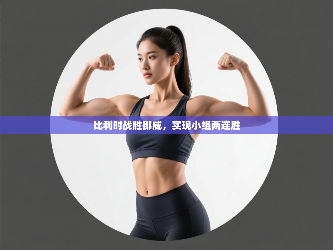 比利时战胜挪威，实现小组两连胜  第1张