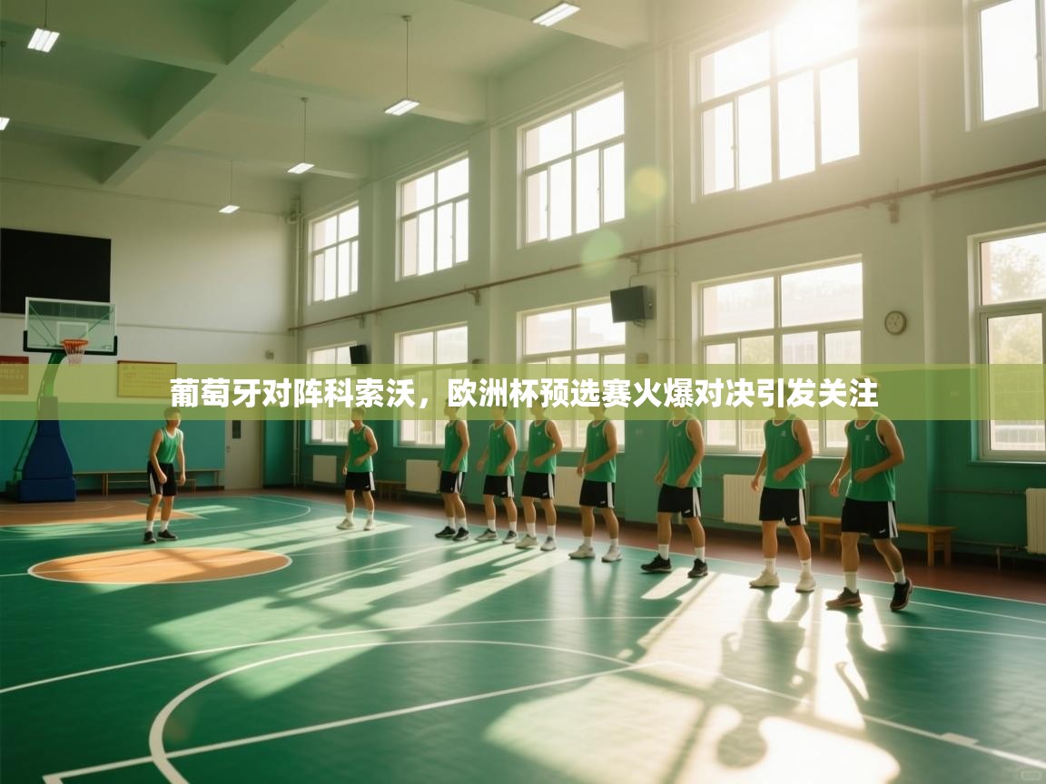 葡萄牙对阵科索沃，欧洲杯预选赛火爆对决引发关注