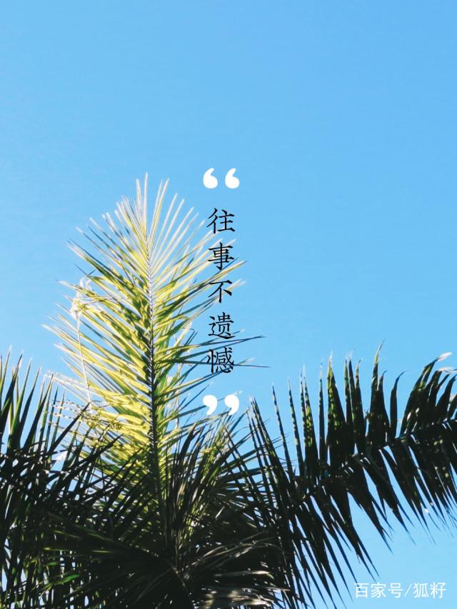 埃兹斯堡主场遭受逆转,遗憾失去三分机会 埃兹斯堡主场遭受逆转,遗憾失去三分机会